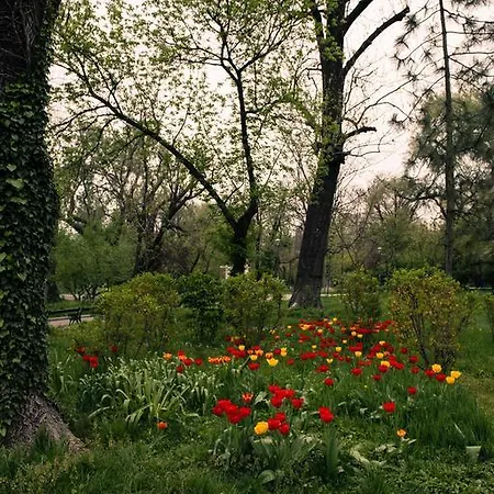 City Centre Cismigiu Gardens 아파트 *